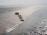 Several seashells are lined up on a sandy beach that gently slopes into calm water. The sand shimmers in the sunlight, creating a peaceful and serene setting.