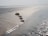 Several seashells are lined up on a sandy beach that gently slopes into calm water. The sand shimmers in the sunlight, creating a peaceful and serene setting.