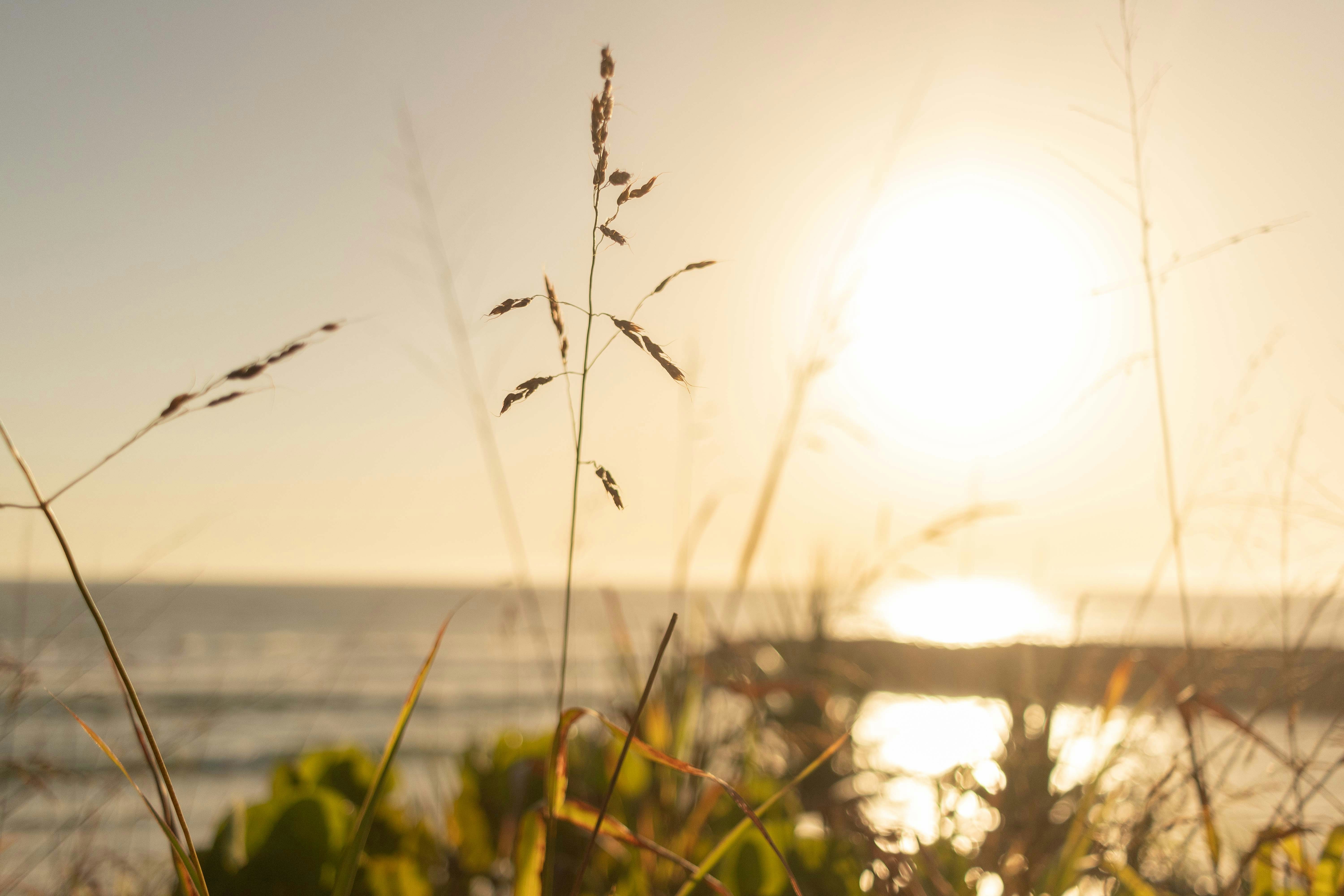 Photo by jennareivolahti