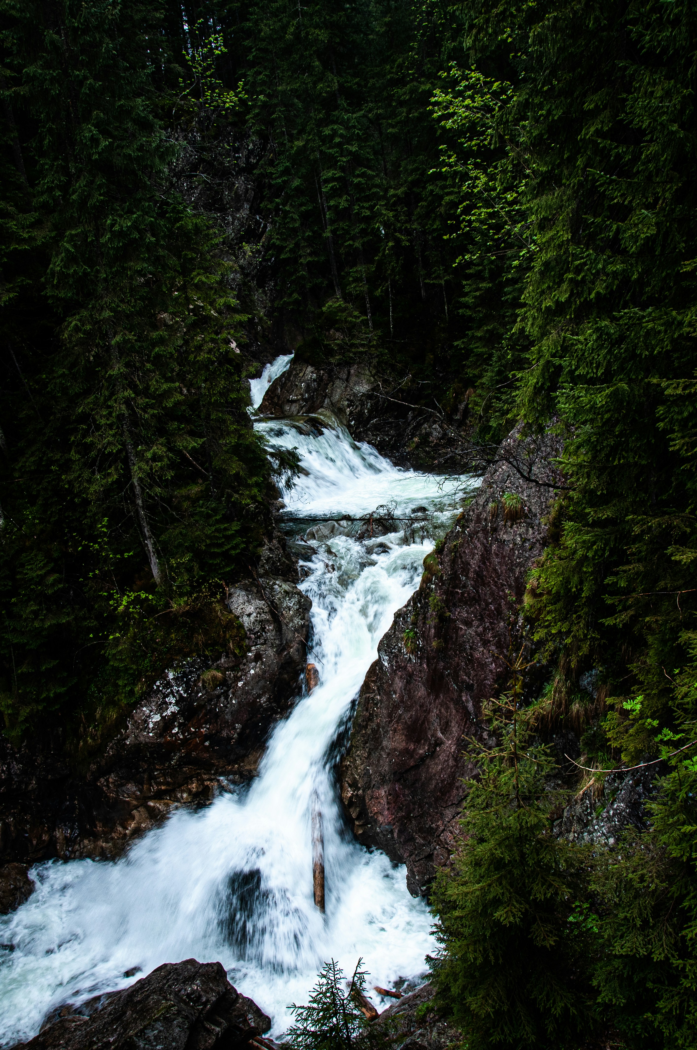 Photo by radekjedynak