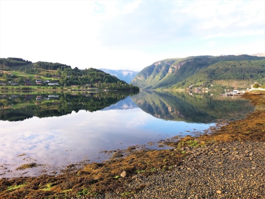 green and brown mountains beside lake under white cloudy sky during daytime in Ulvik Norway