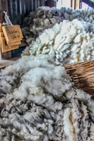 A close-up view of piles of raw wool in neutral shades, arranged in wooden or wicker containers. Signage with handwritten labels indicating different categories of wool is visible.