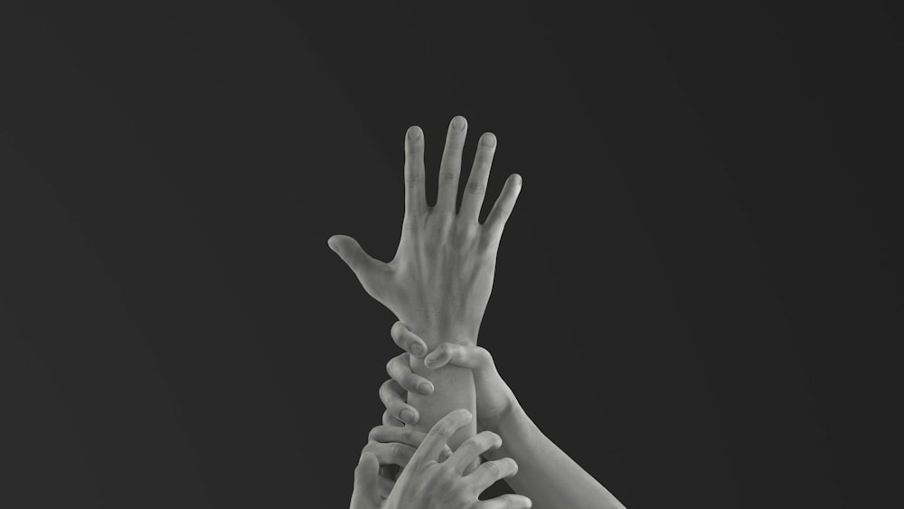foto in scala di grigi della mano delle persone