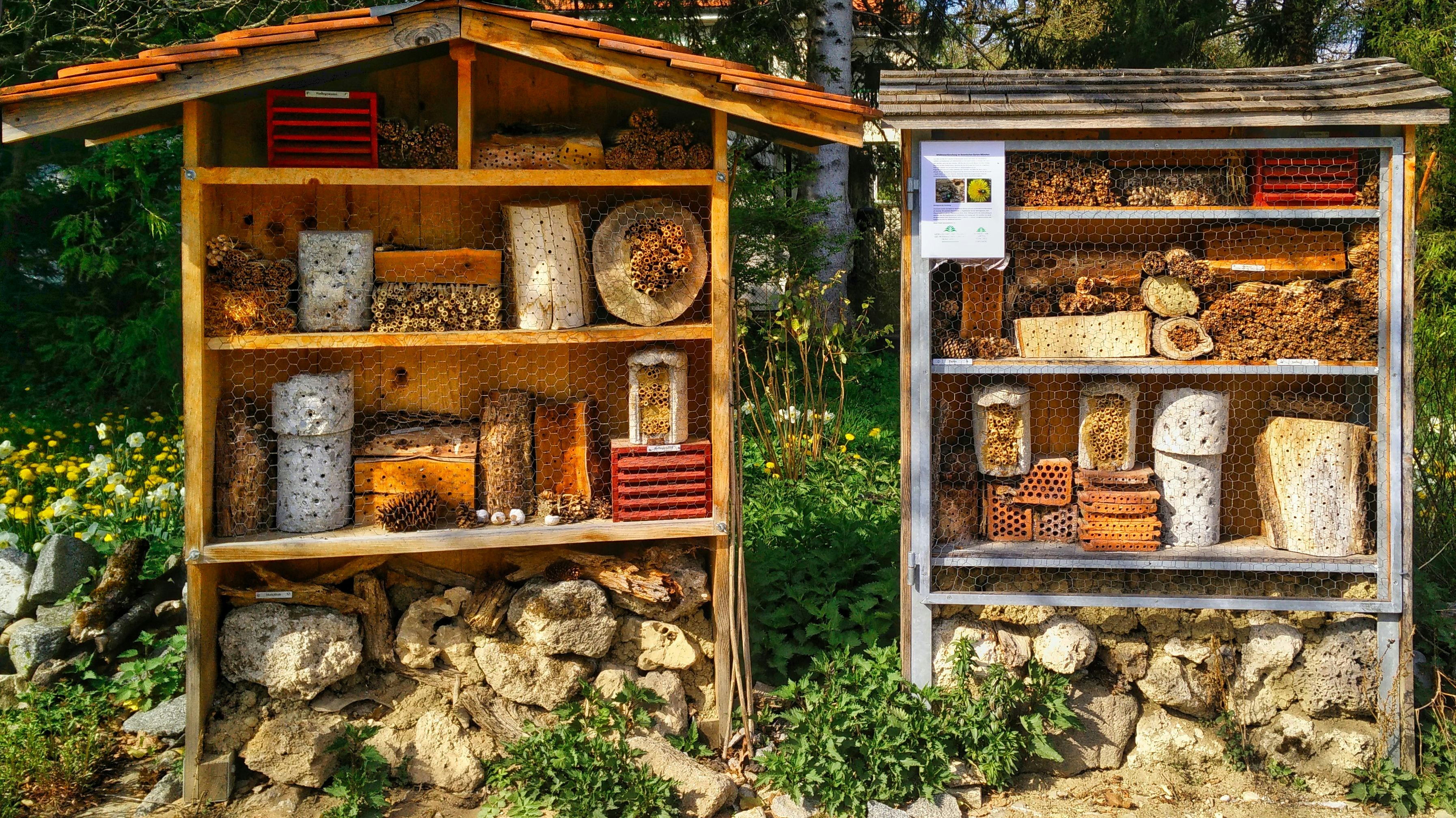 nuisibles maison souris insectes comparaison méthodes