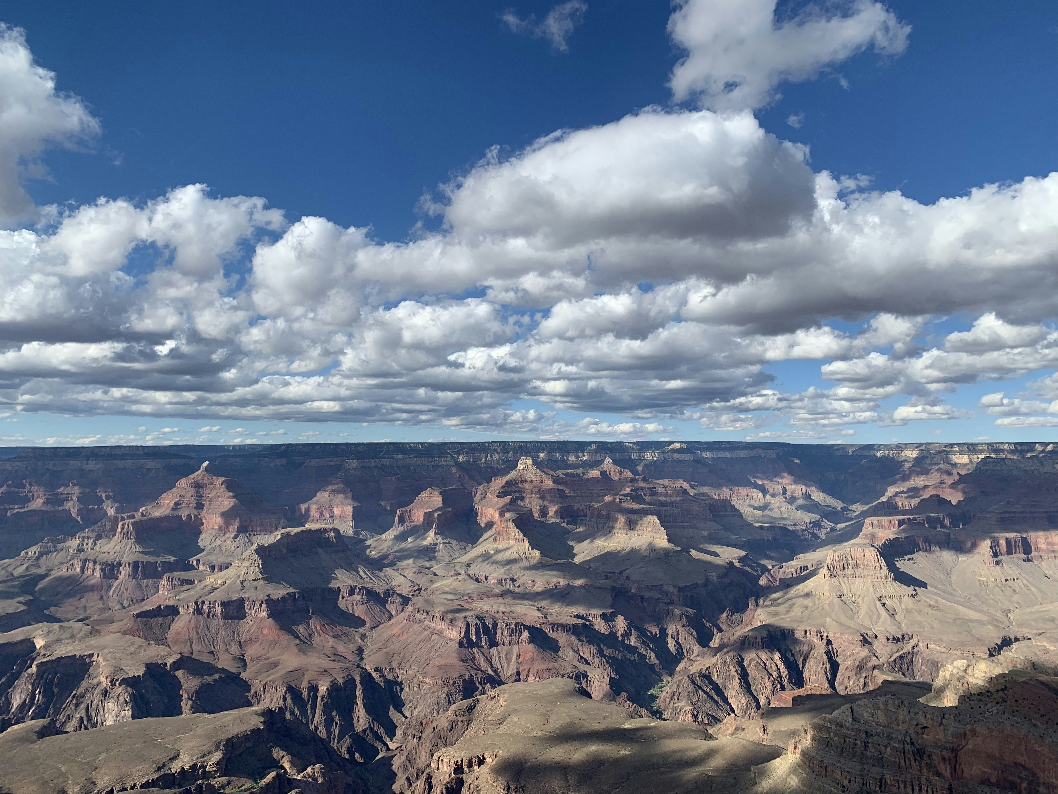 Photo by siamialtrice_