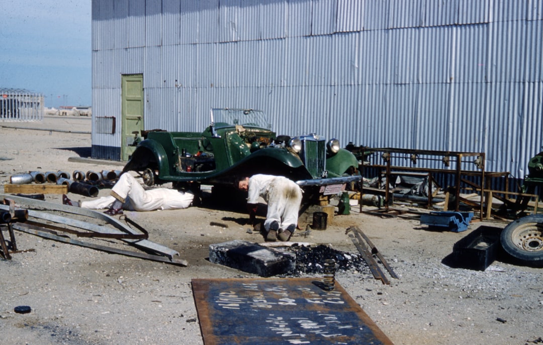 white short coated dog lying on ground beside green utility trailer