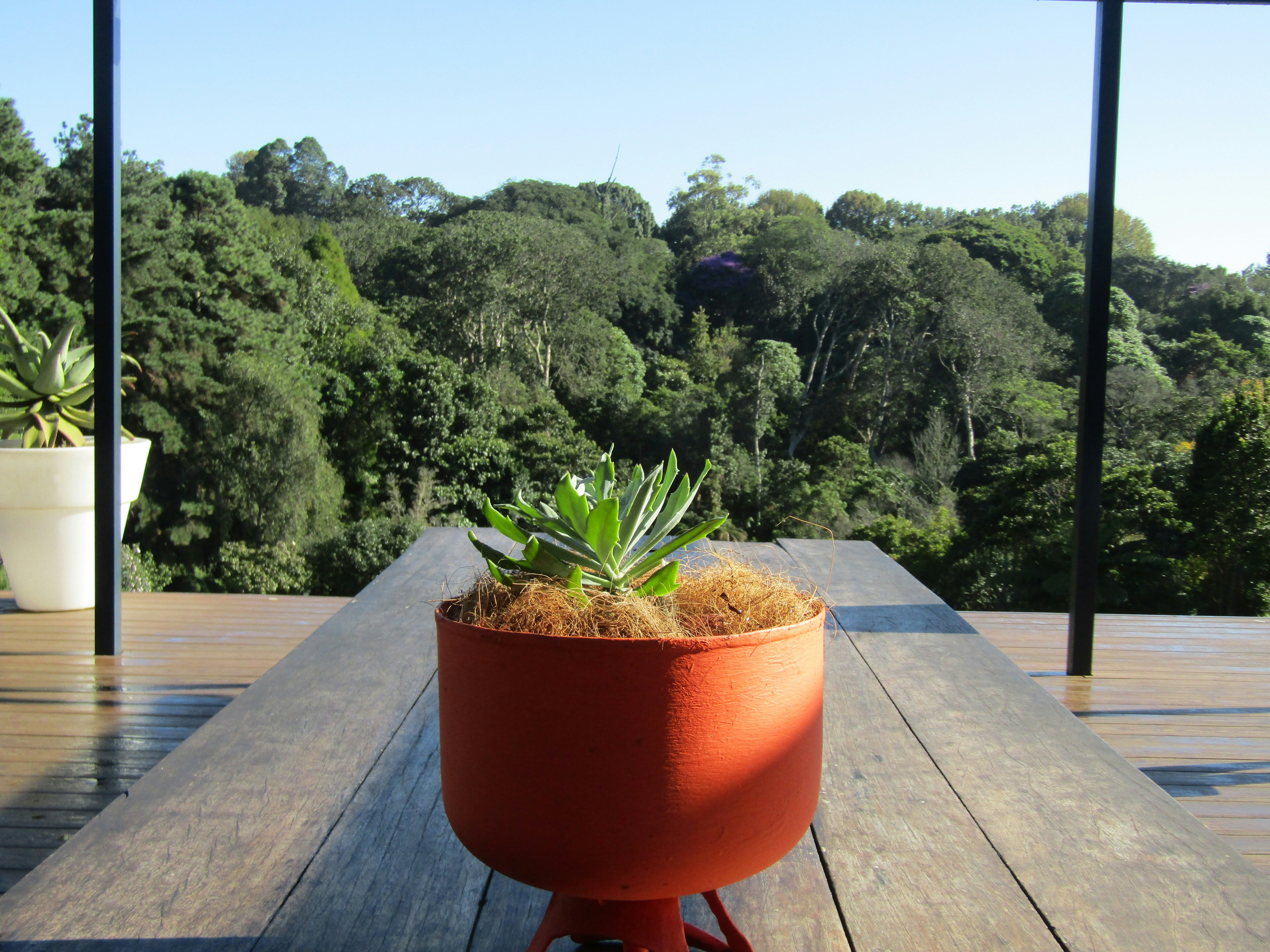 Elegant FRP Planter Pot