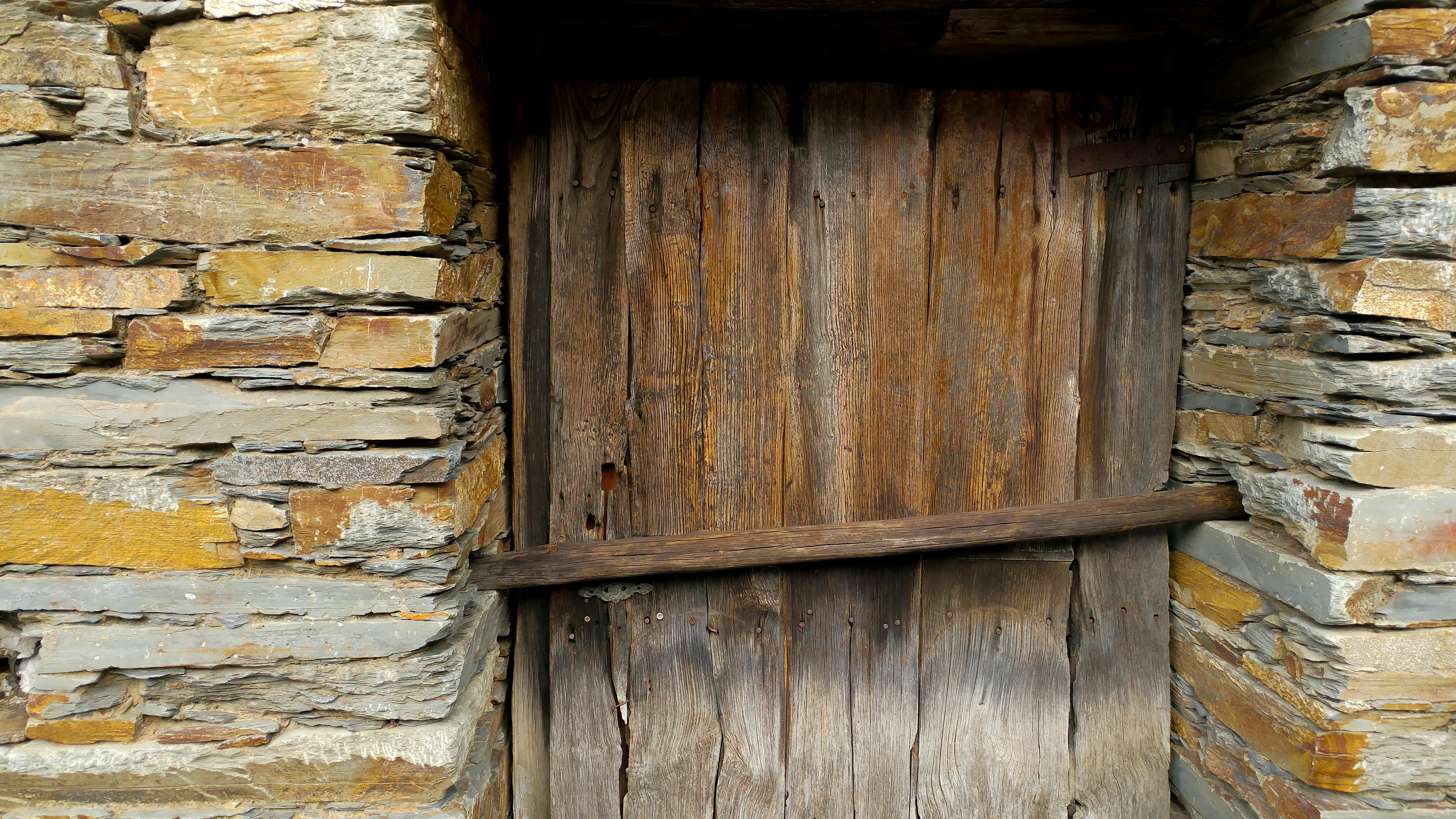 Photo by taniaflsilva