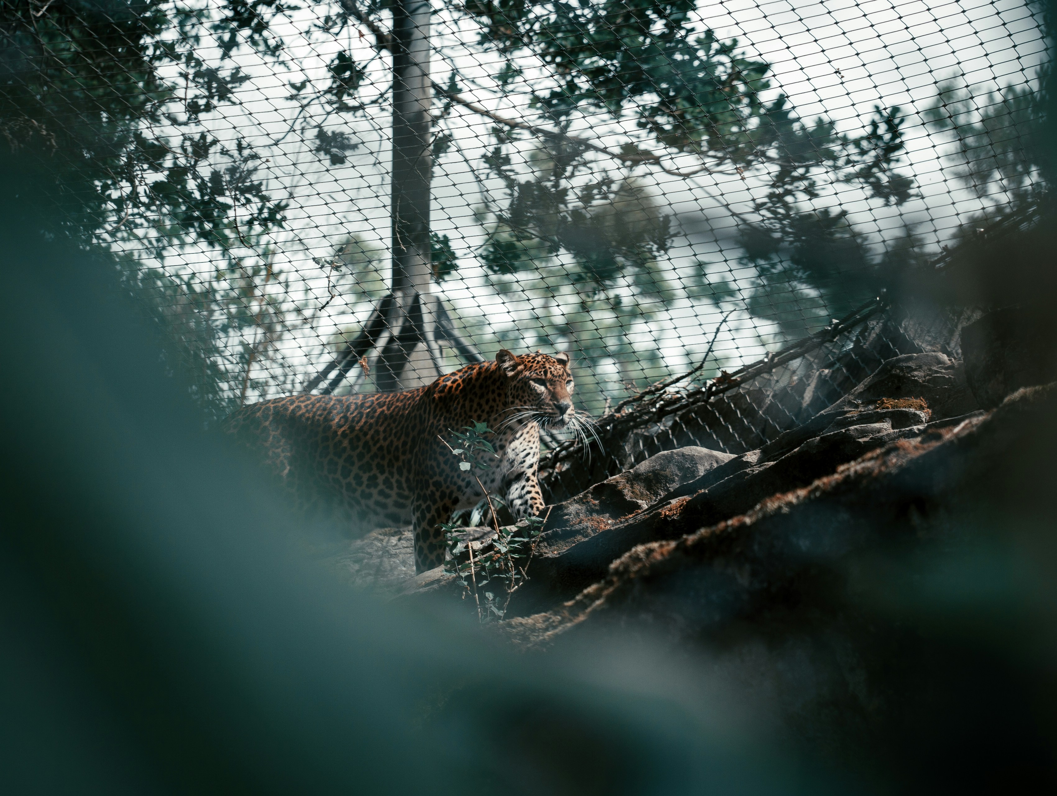 Micro‑Adaptive Early Warning Systems in 2026: Edge Sensors, Inclusive Alerts, and Governance