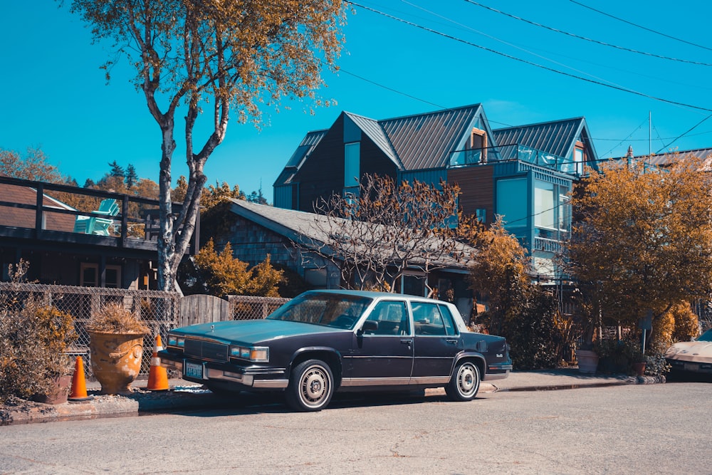 blue sedan parked beside brown tree during daytime