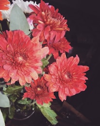 Close-up of a vibrant bouquet featuring red and blue flowers.