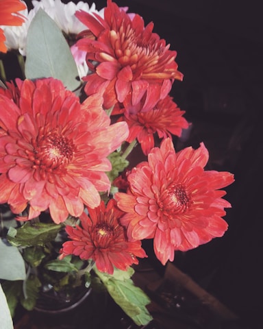 Close-up of a vibrant bouquet featuring red and blue flowers.