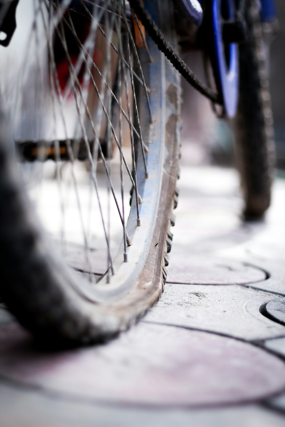 bicycle wheel with tire on concrete pavement