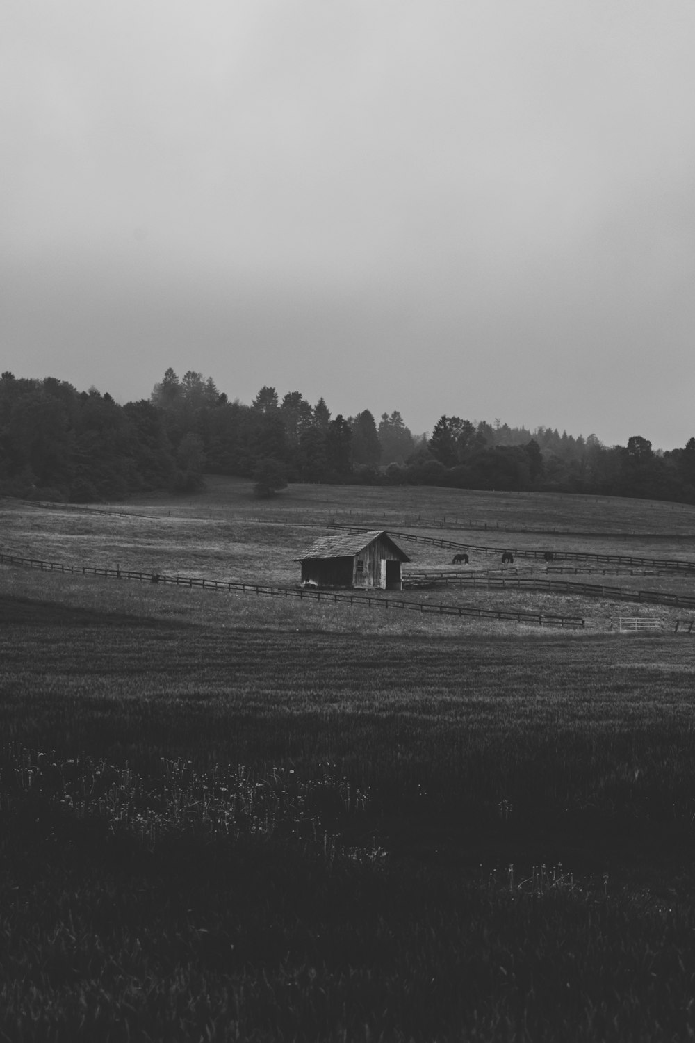 grayscale photo of house on grass field