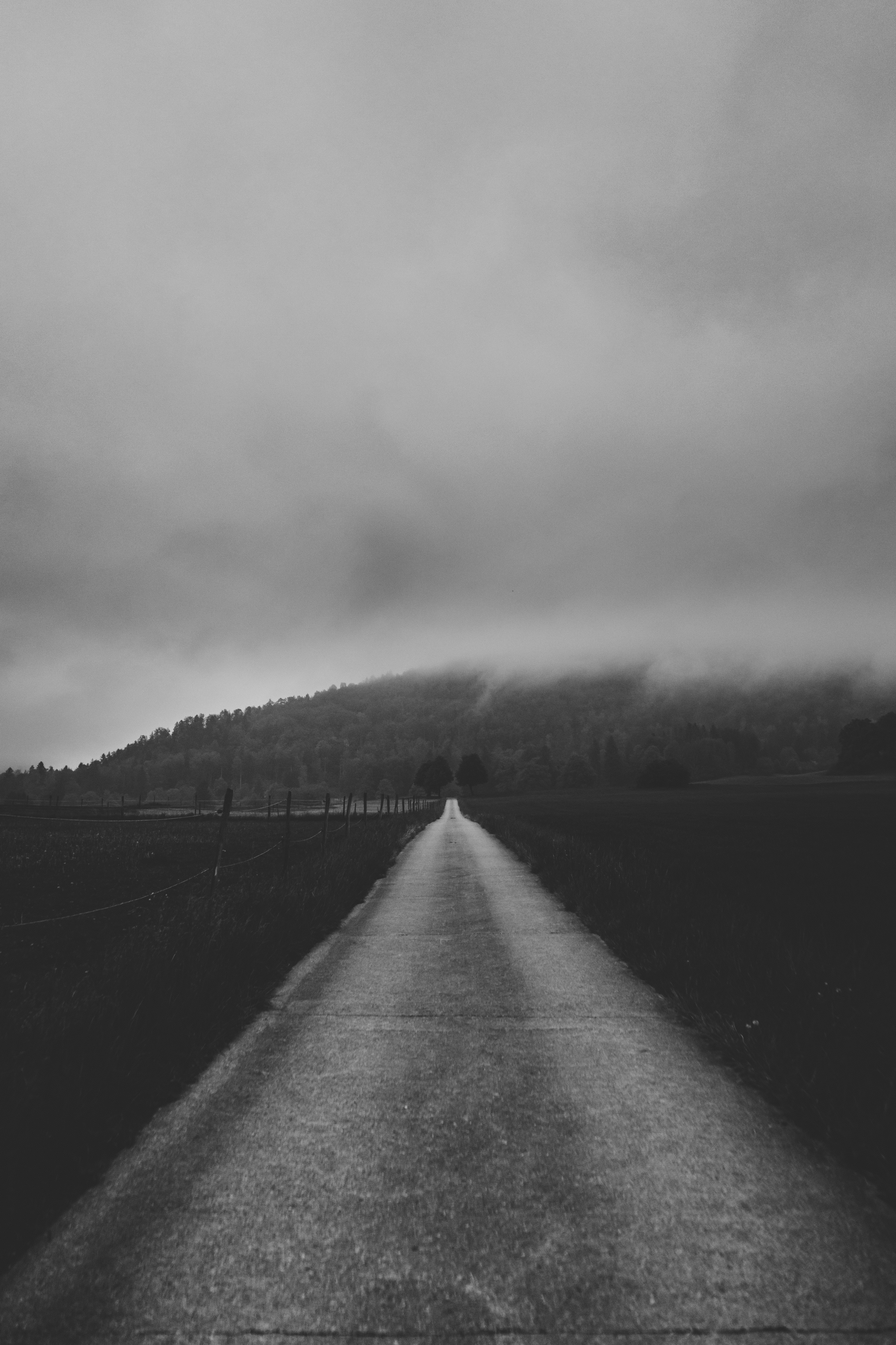 Photo by virussinside