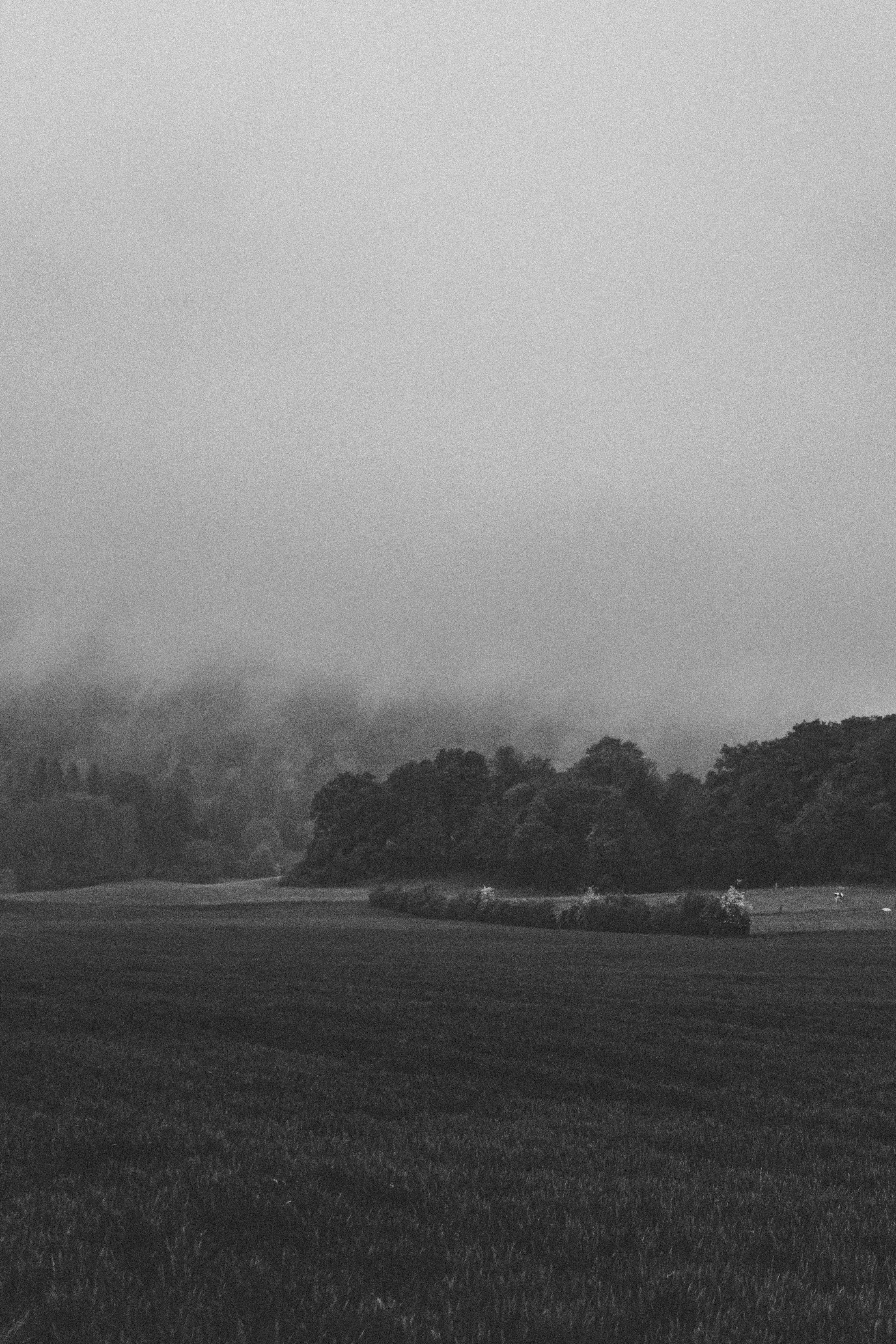 Photo by virussinside