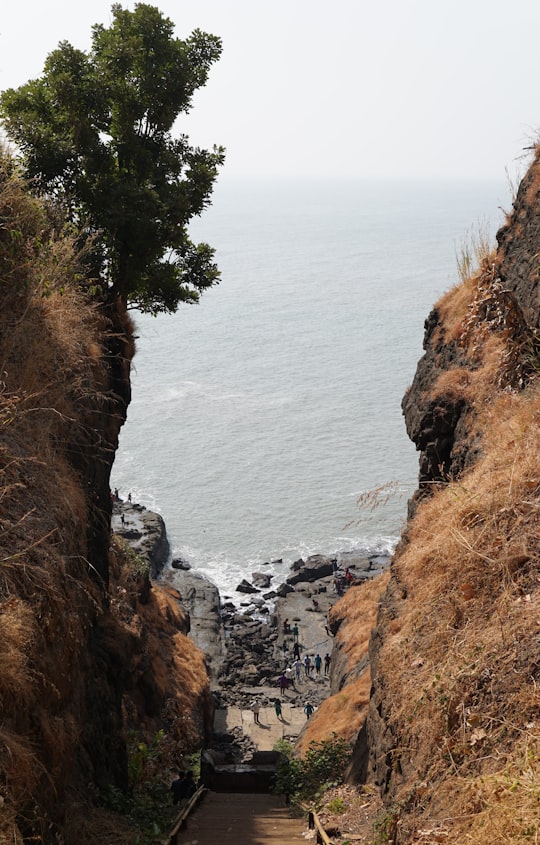 green trees on brown rocky mountain beside sea during daytime in Harihareshwar India