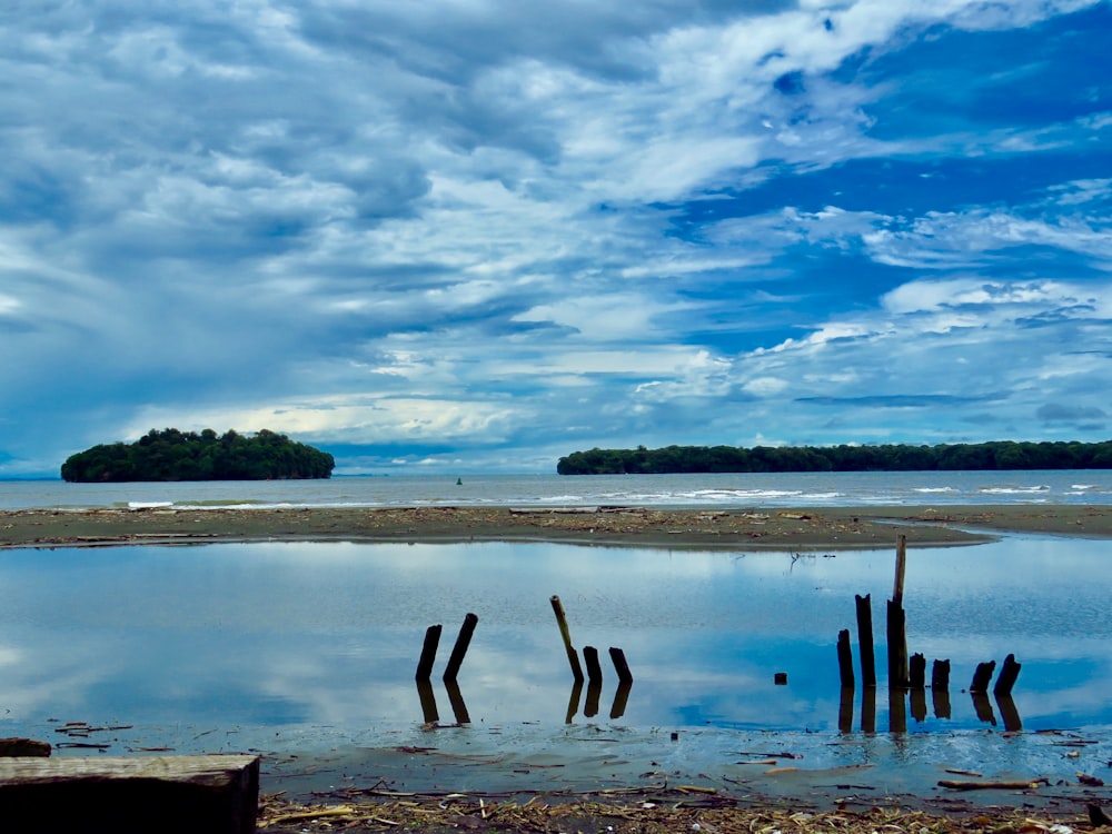 brown wooden posts on body of water under blue and white cloudy sky during daytime