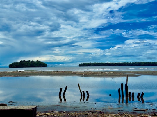 brown wooden posts on body of water under blue and white cloudy sky during daytime in Juanchaco Colombia