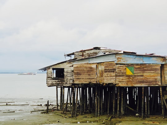 brown wooden house on sea shore during daytime in Buenaventura Colombia