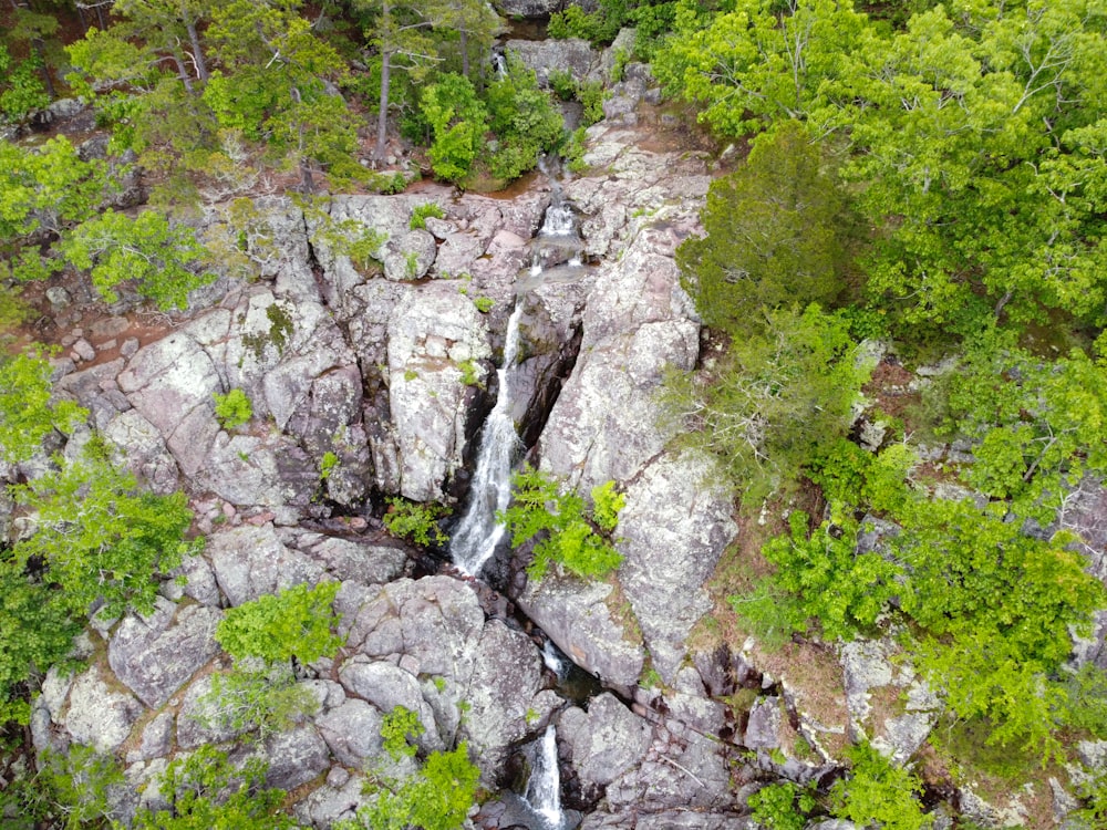 green trees on rocky mountain during daytime