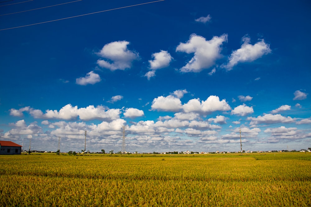 green grass field under blue sky and white clouds during daytime