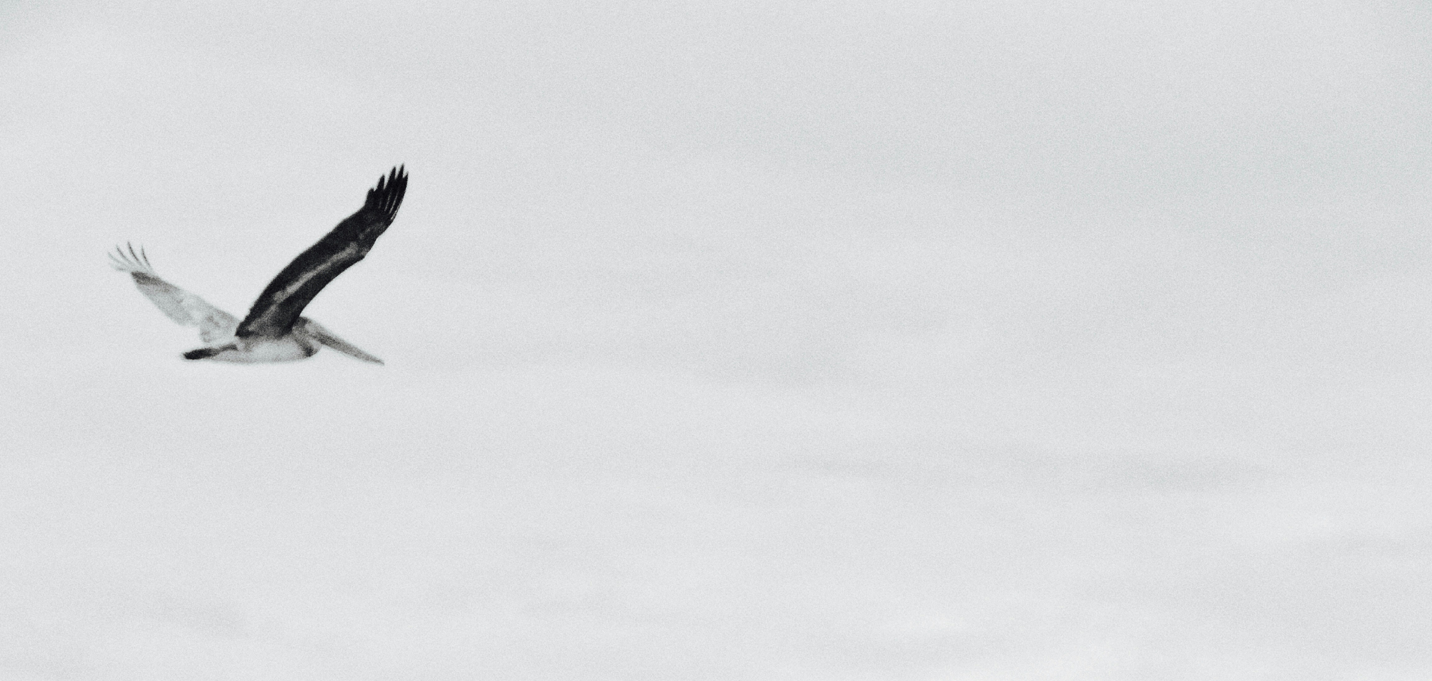 Bugün öğrendim ki: Scilly Adaları (İngiltere)...