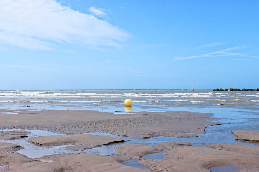 Gente en la playa durante el día