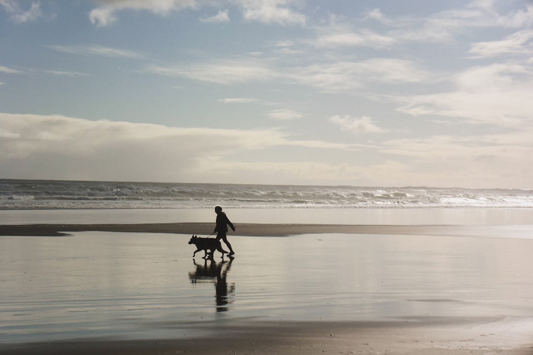 Beach photo spot Piha Beach Mission Bay