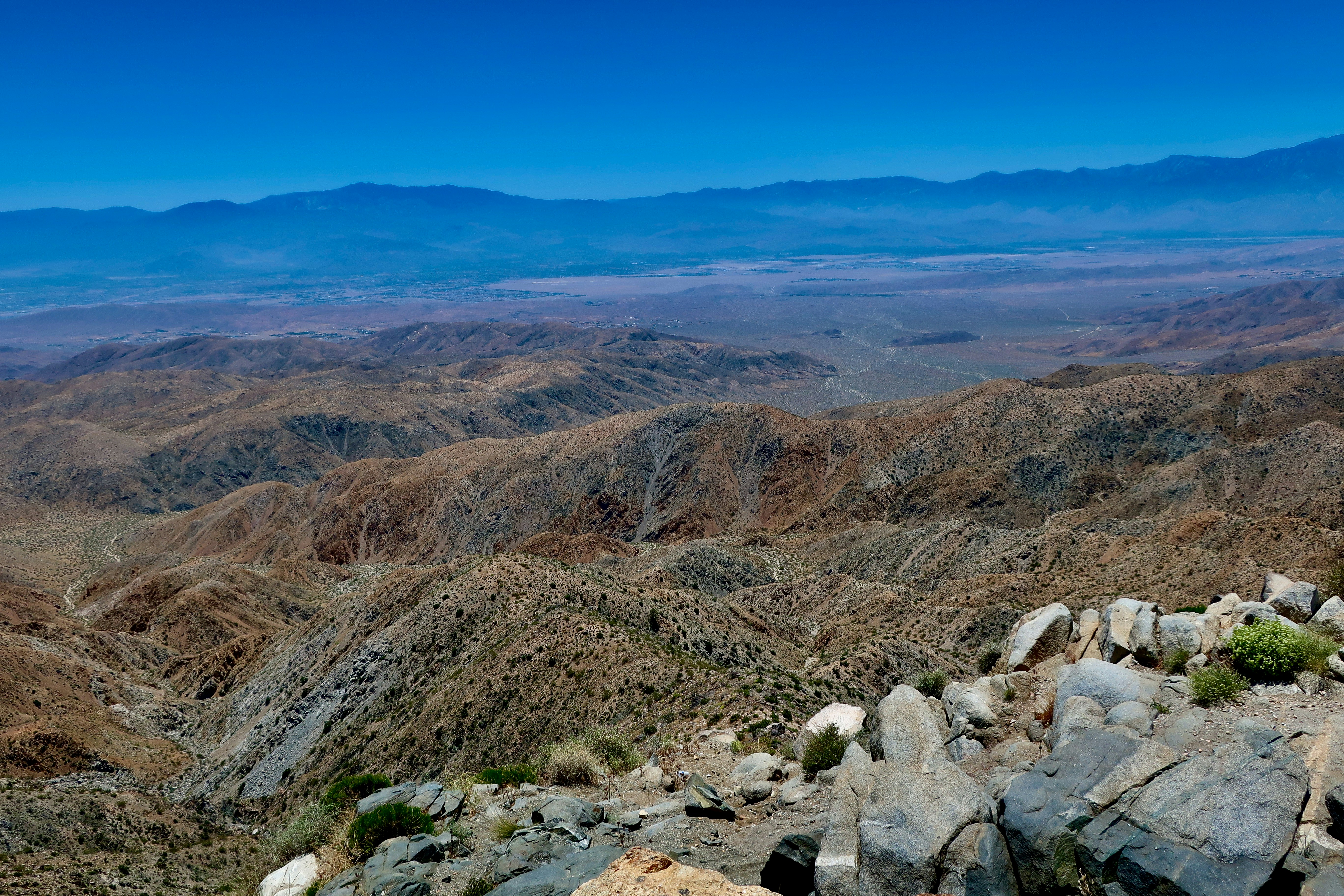 Photo by palmspringsdon