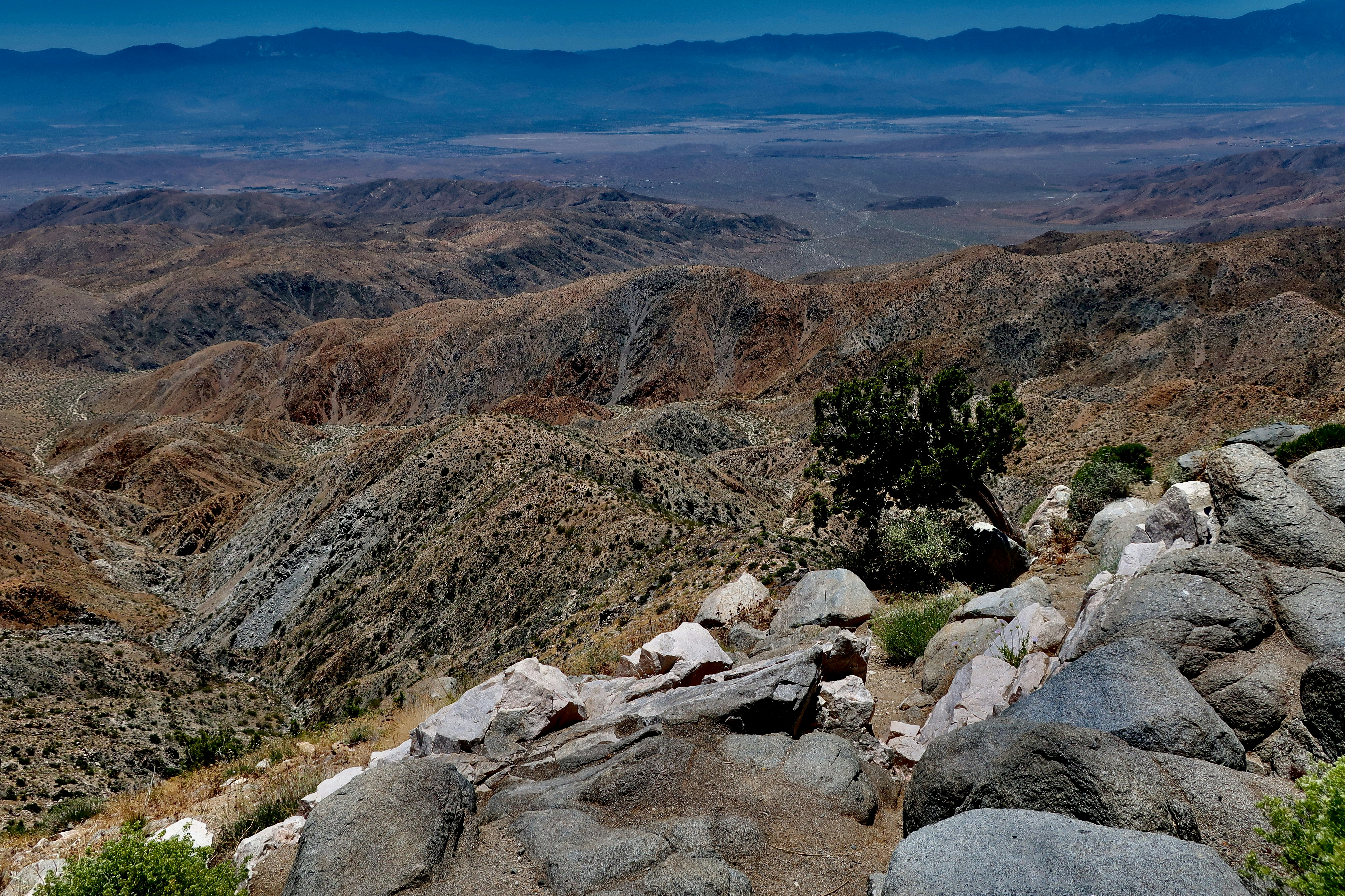 Photo by palmspringsdon