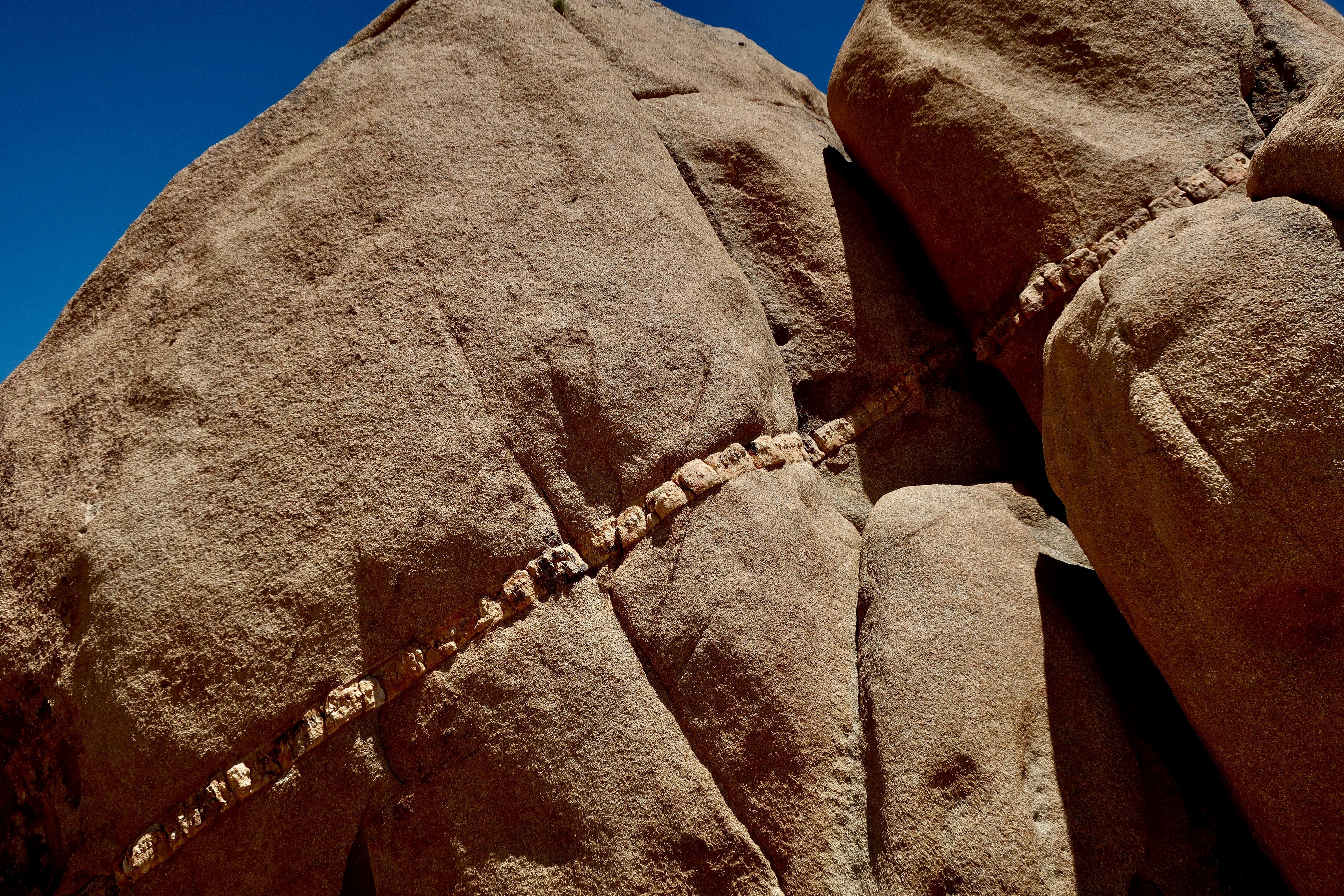 Photo by palmspringsdon