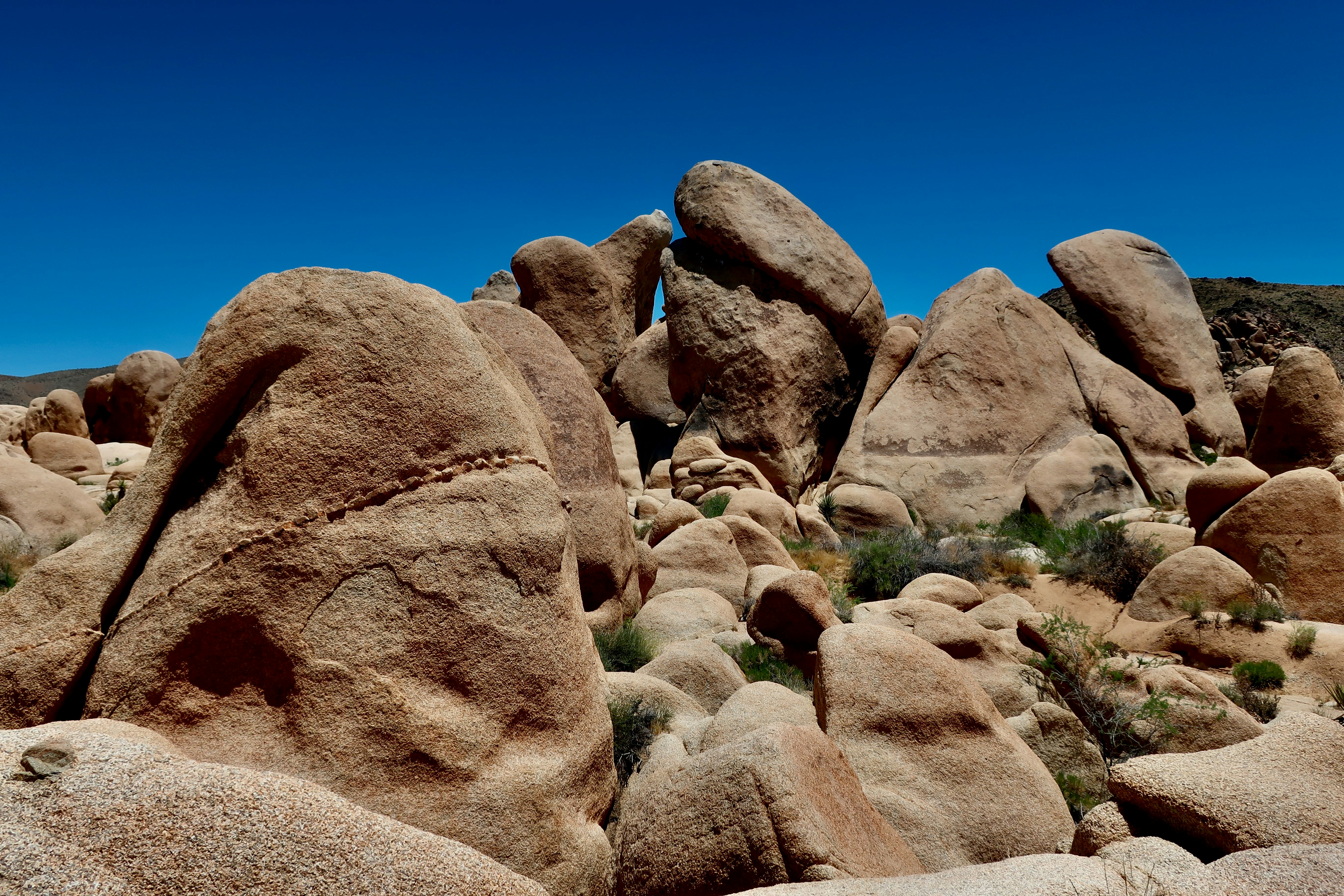 Photo by palmspringsdon