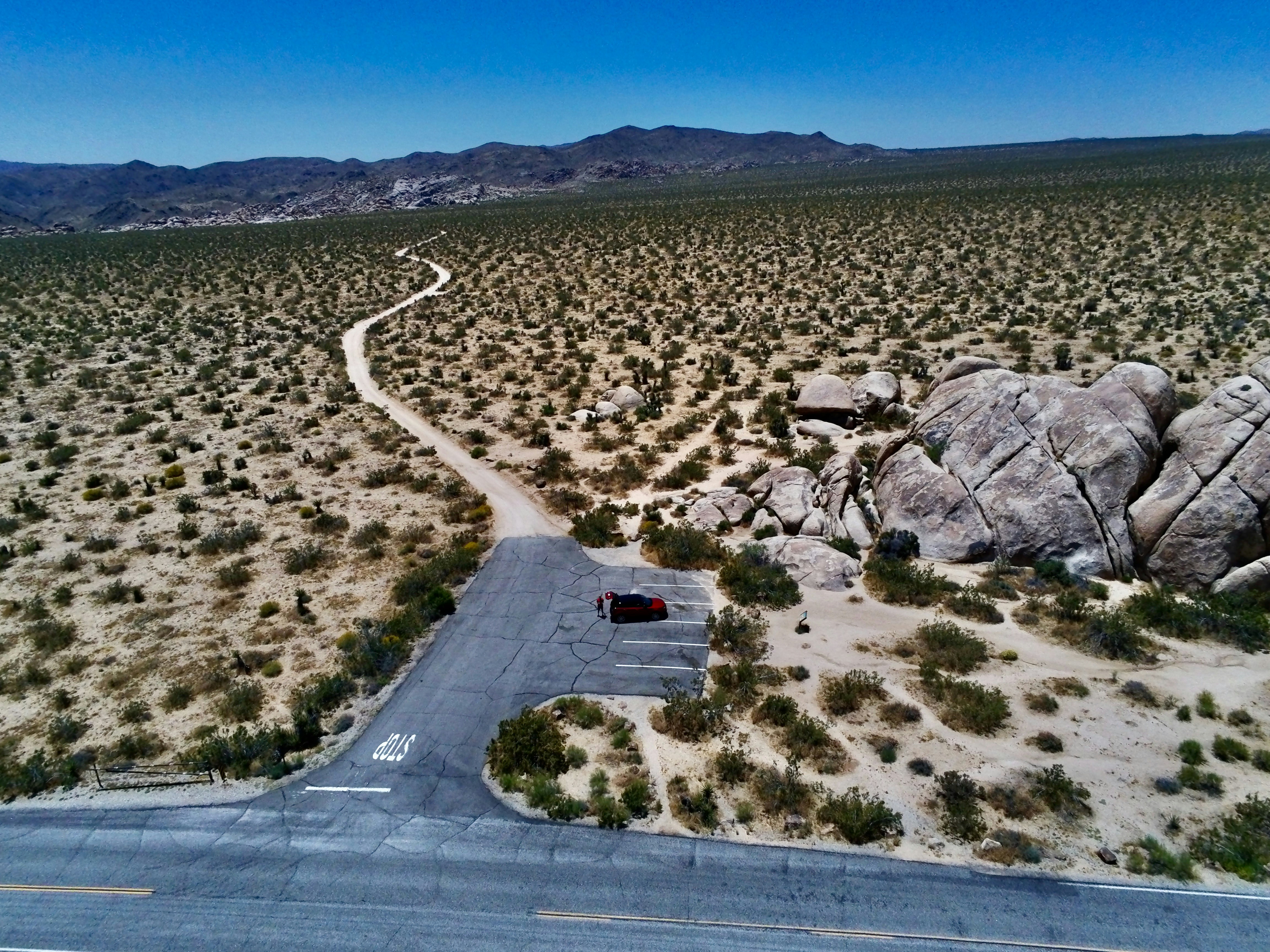 Photo by palmspringsdon