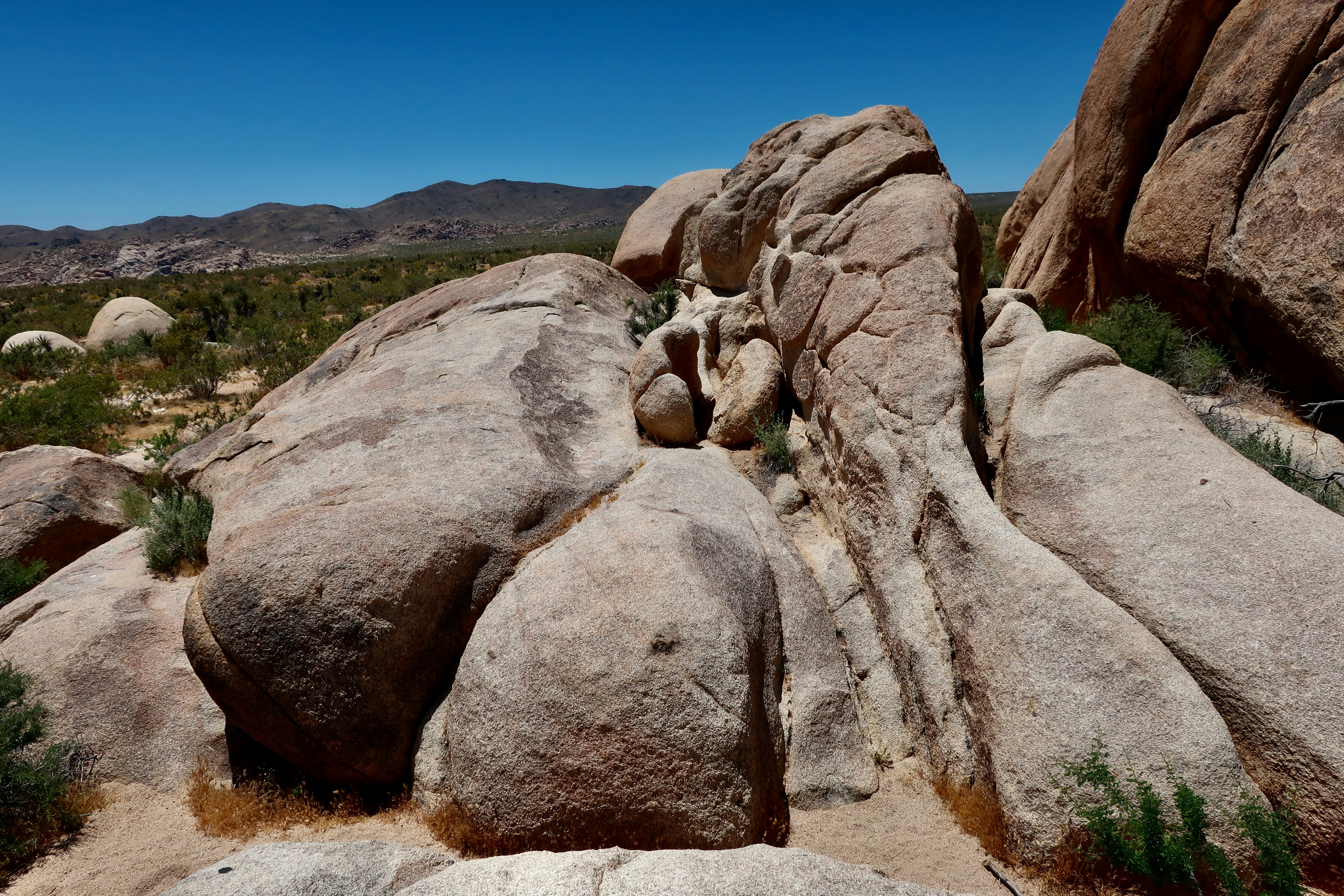 Photo by palmspringsdon