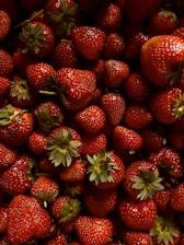 Close-up of ripe hydroponic strawberries glistening with morning dew in Suesca fields.