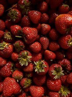 Close-up of dewy strawberries freshly picked from the fields at fruit production farms (fpf)