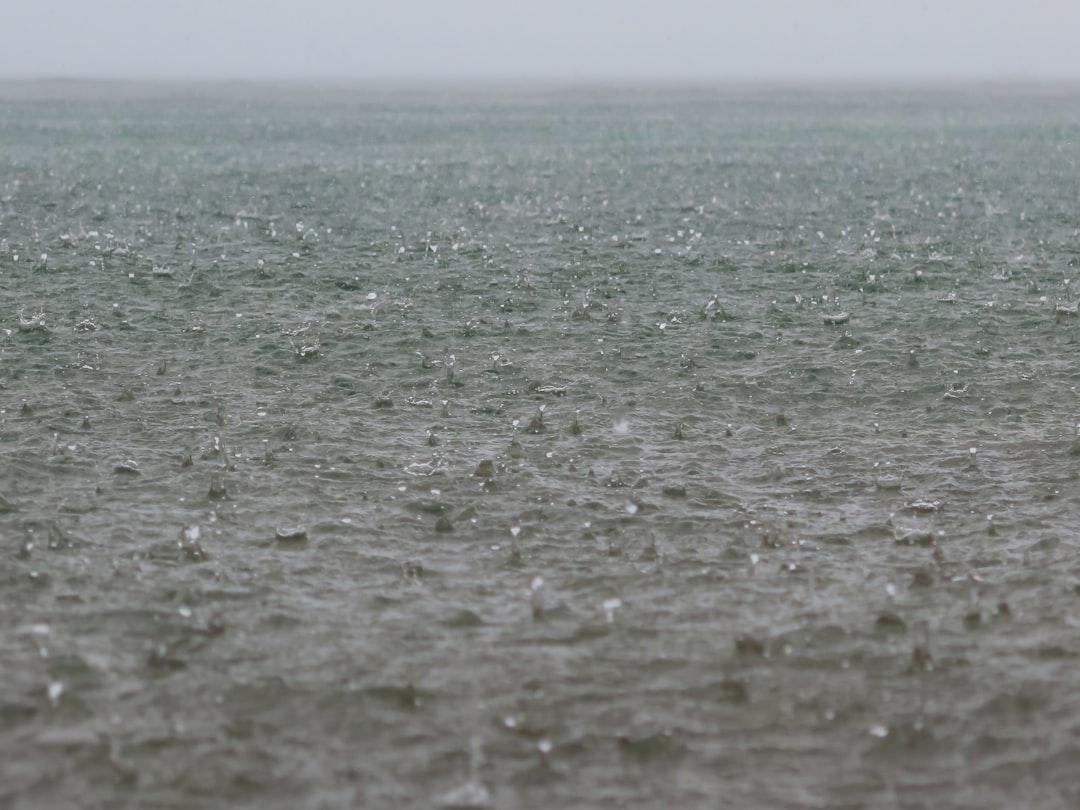 body of water during daytime