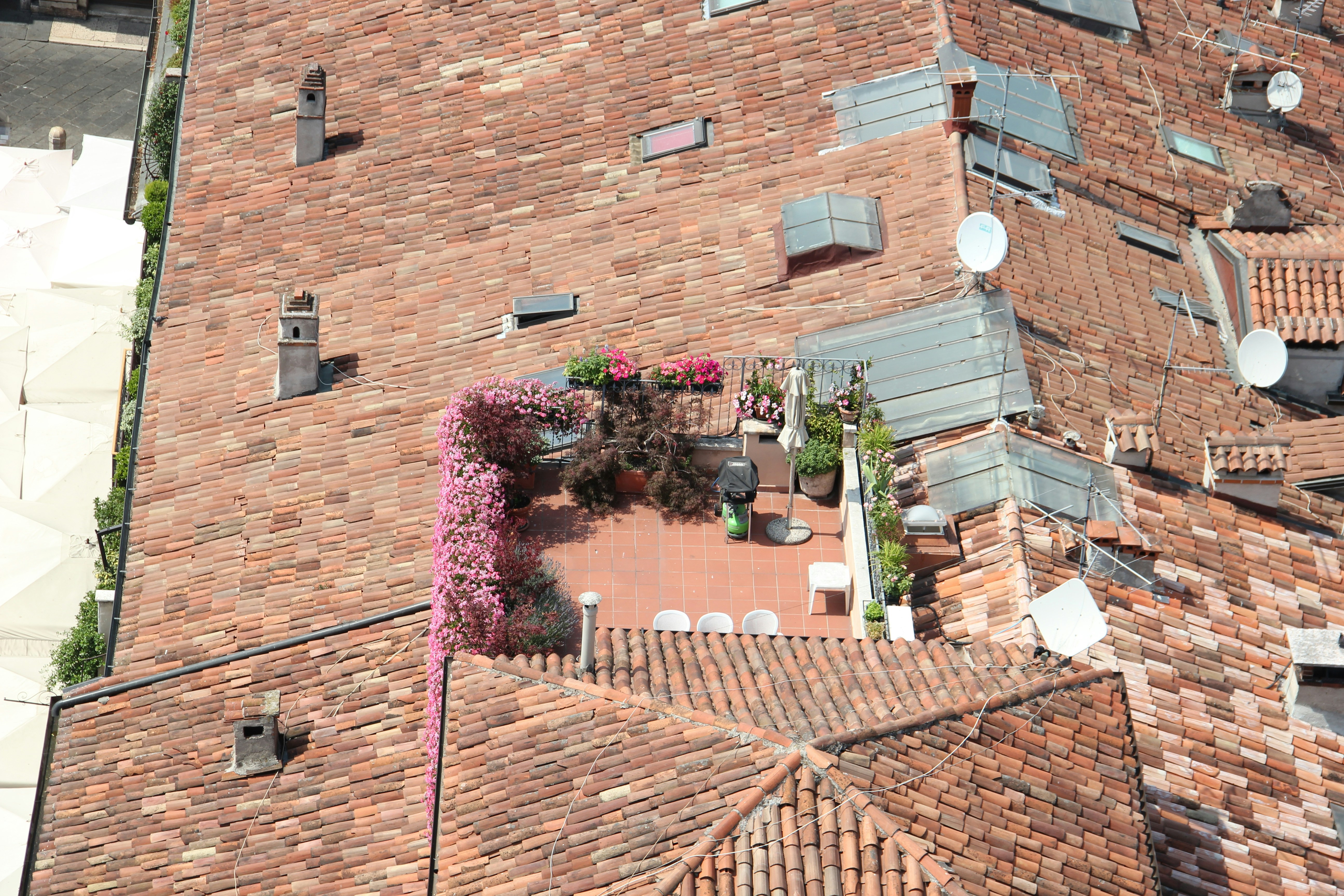 Boutique heritage hotel rooftop with traditional Jaipur pink city views, terracotta pots and string lights