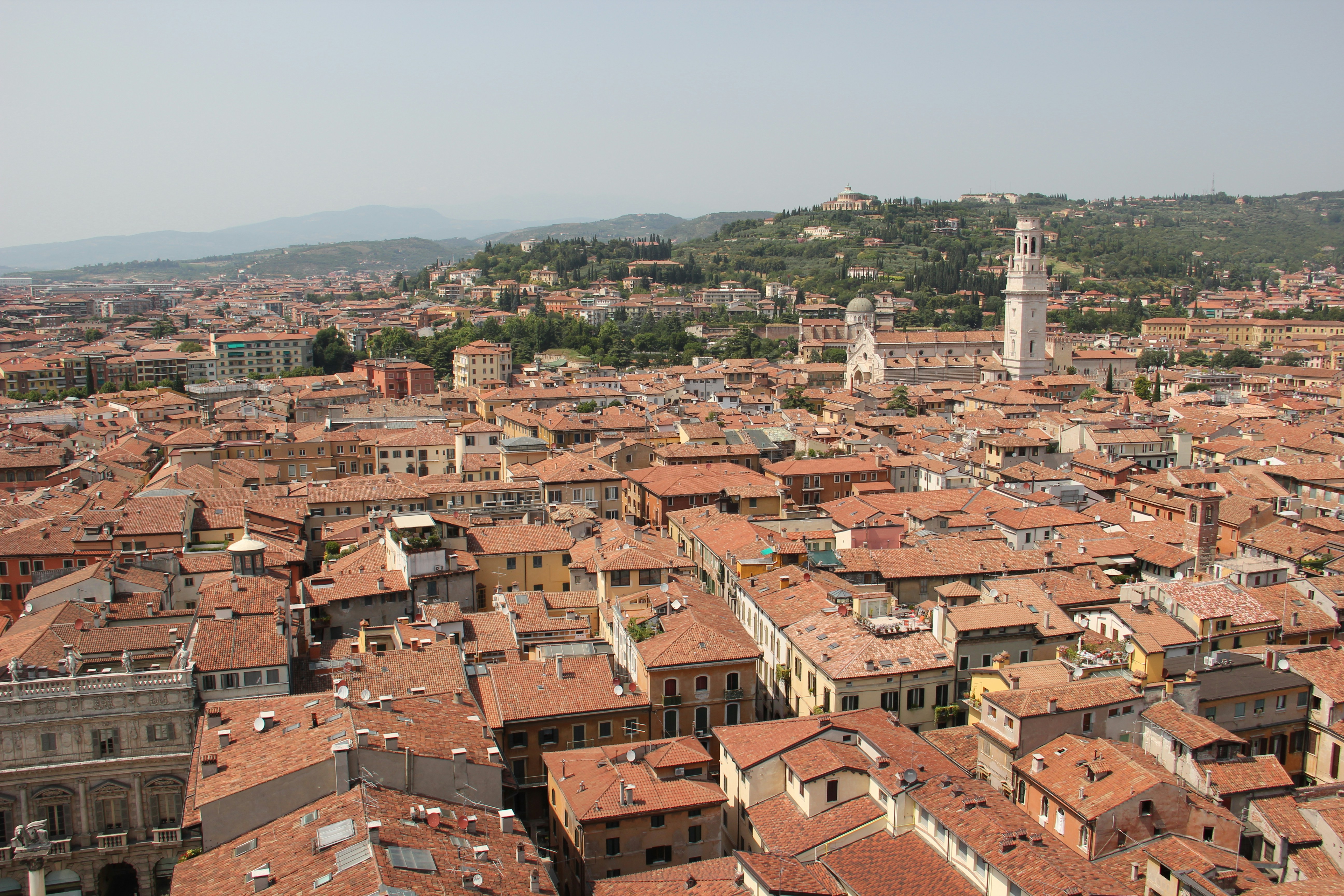 Photo by shalevcohen