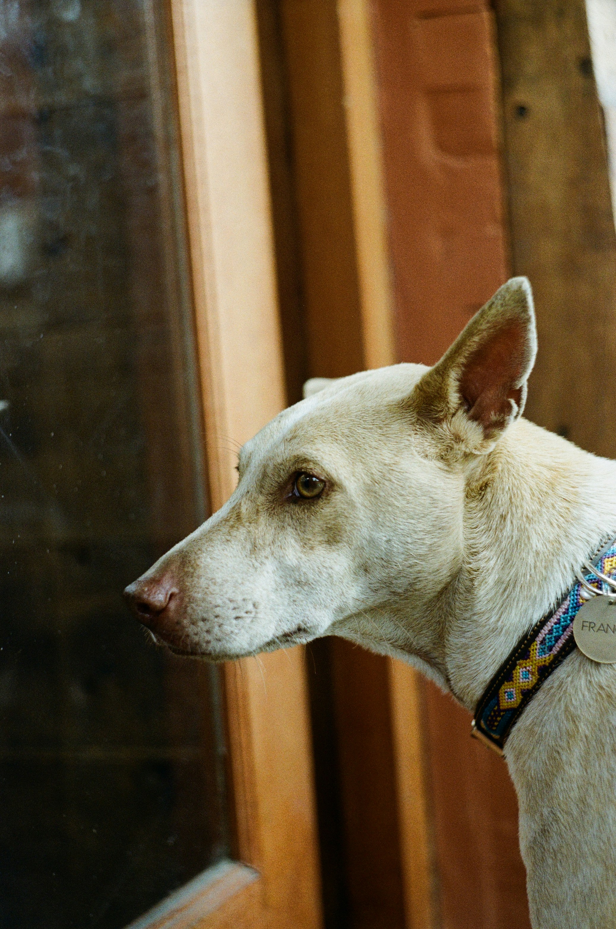 Photo by dashikka