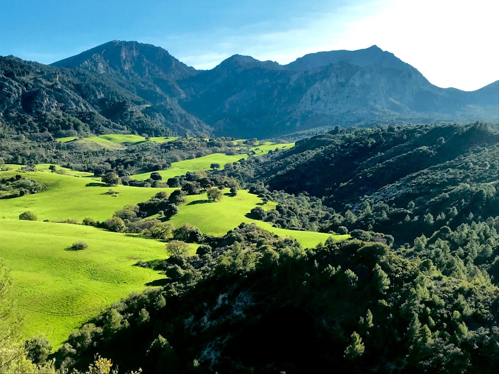 green grass field and mountains during daytime