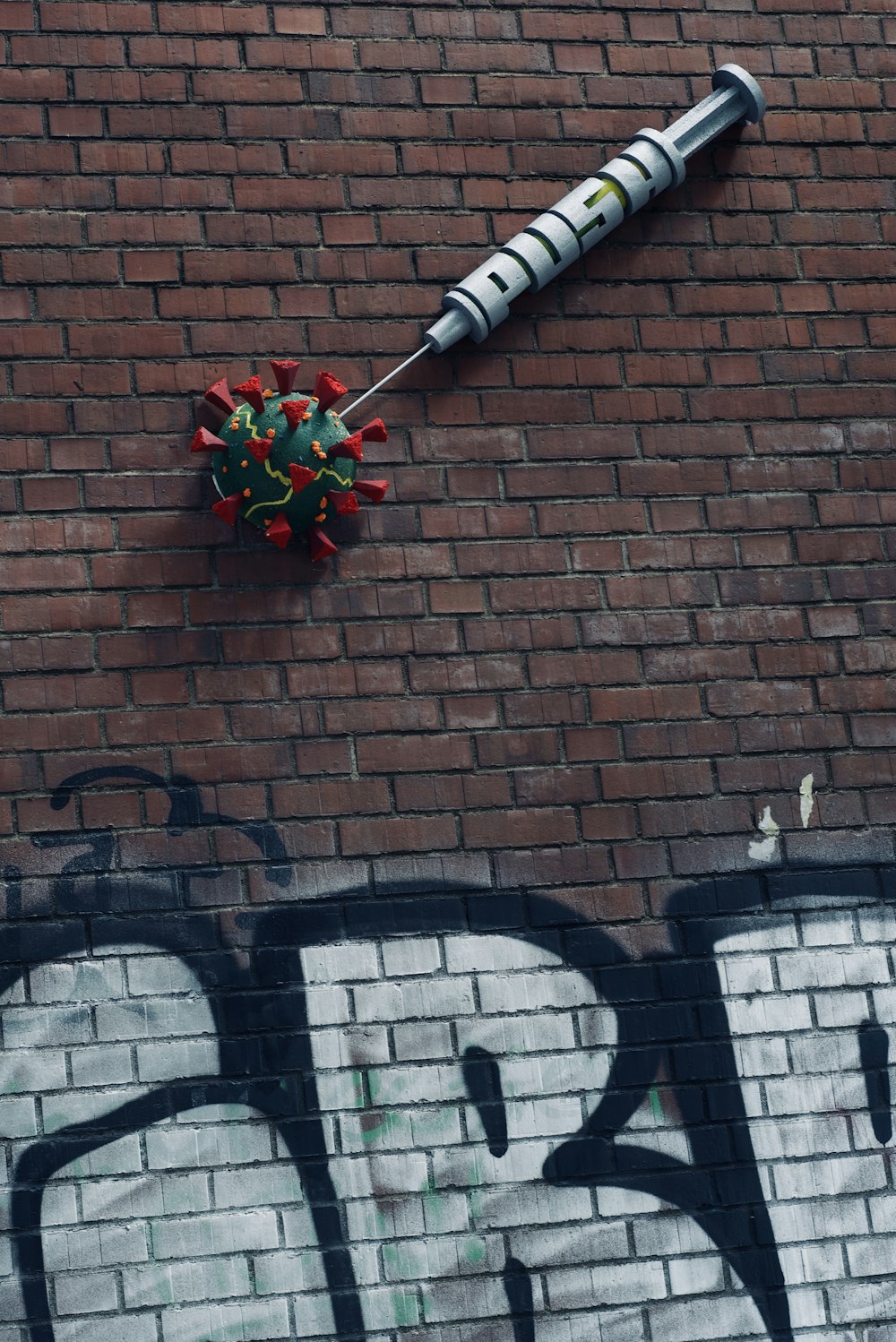 red and white rose on brick wall