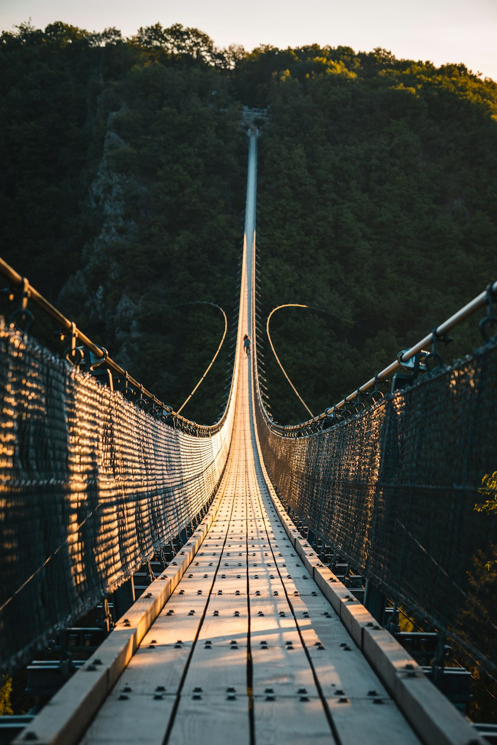 Braune Holzbrücke im Wald tagsüber