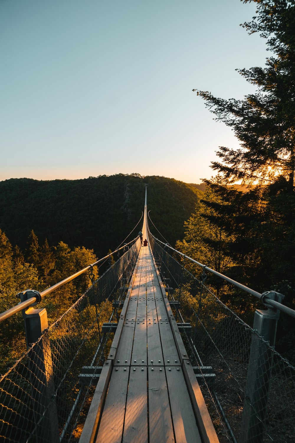 graue Brücke über grüne Bäume tagsüber