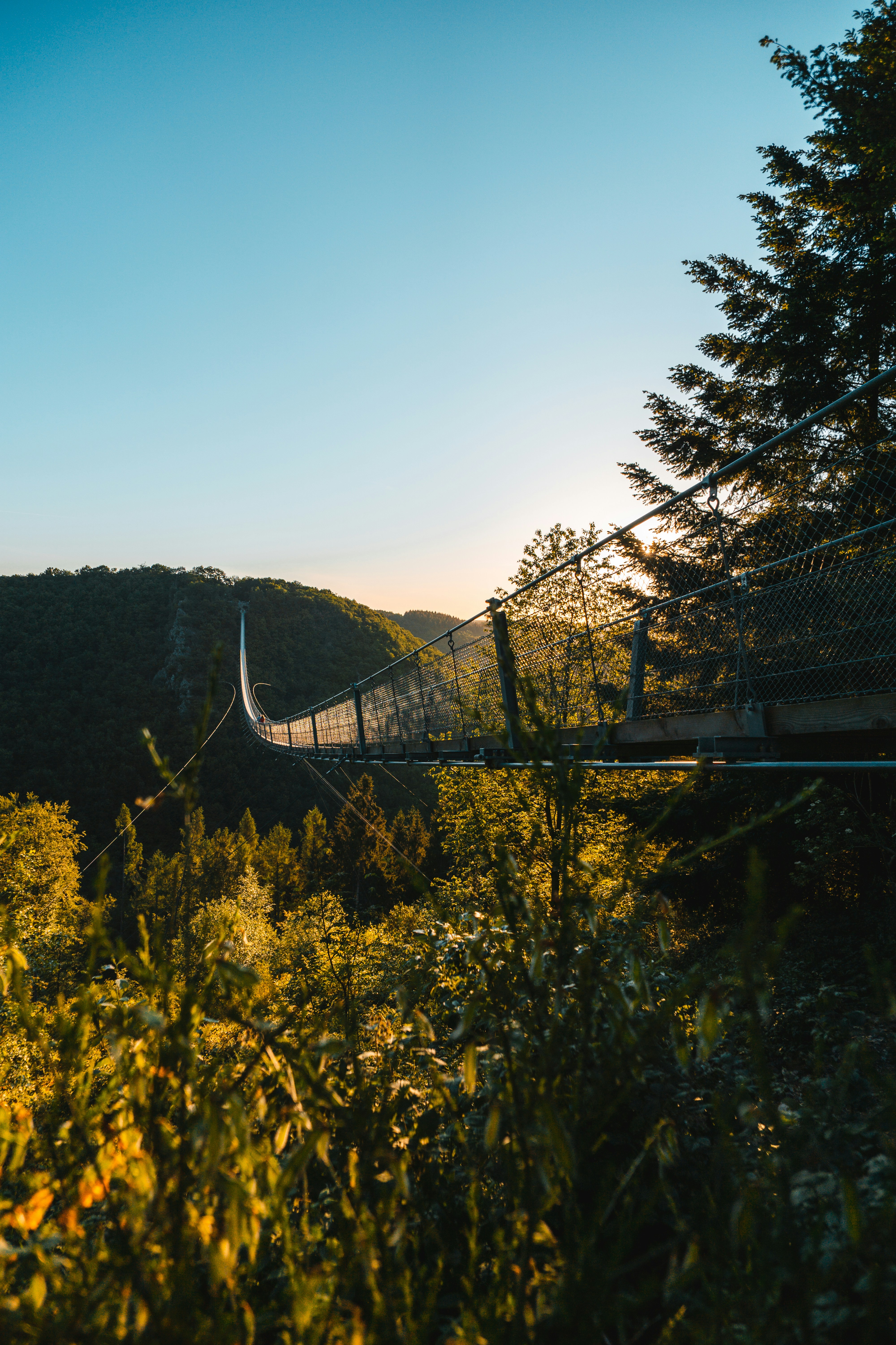 Photo by electerious