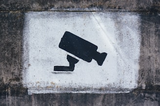 Vidéosurveillance à Strasbourg