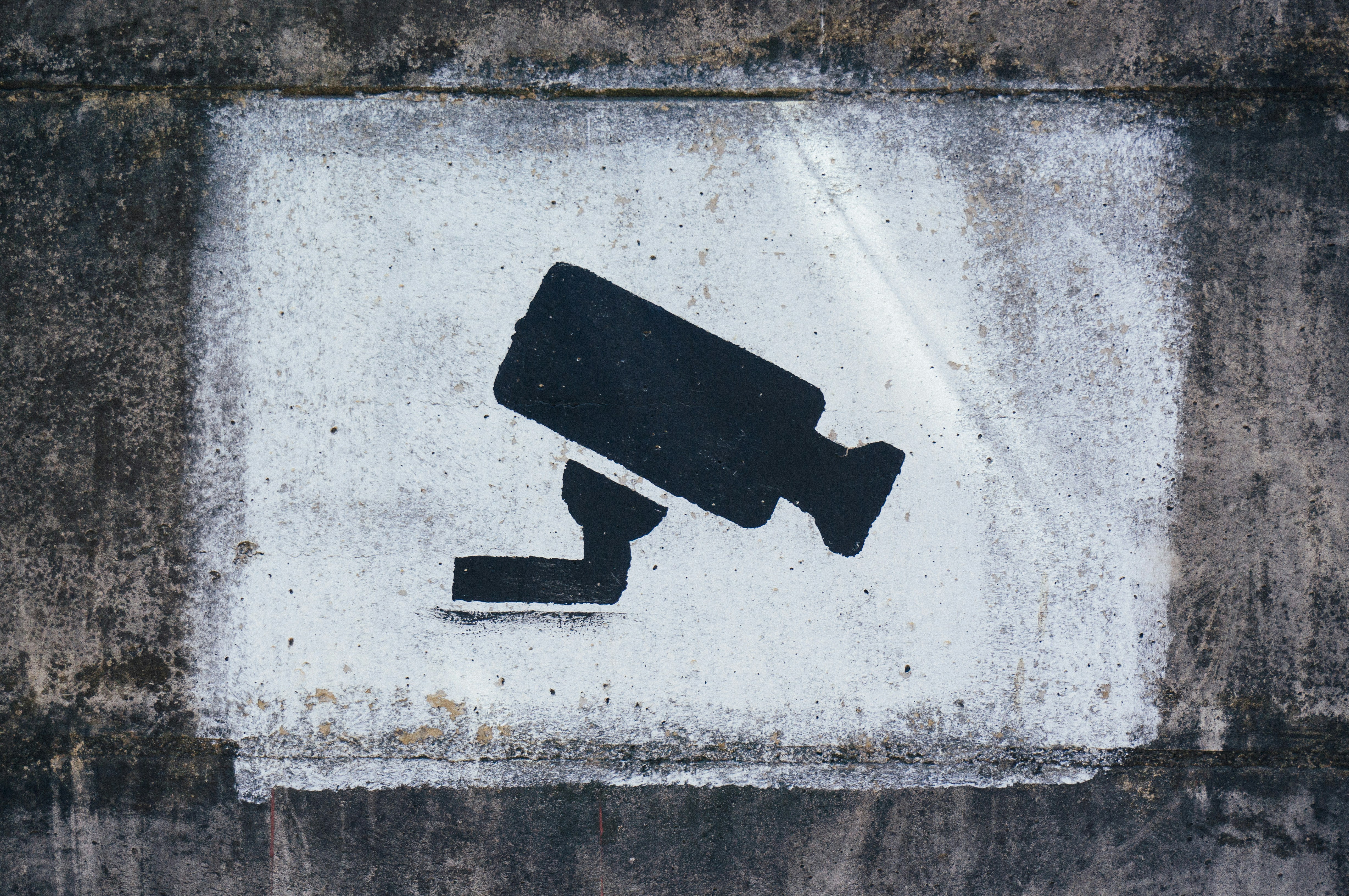Can I Use Security Cameras To Monitor My Baby Or Pets?