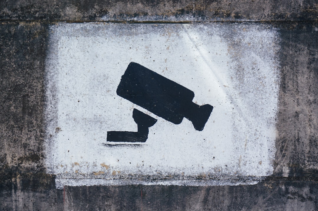 A painting on a wall warning visitors about video surveillance