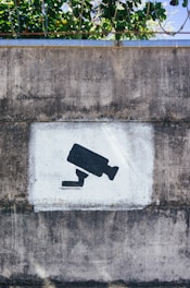 A concrete wall features a stenciled silhouette of a security camera in black, set against a white square background. Above the wall, greenery is visible with leaves and branches extending down, and barbed wire runs horizontally along the top edge.